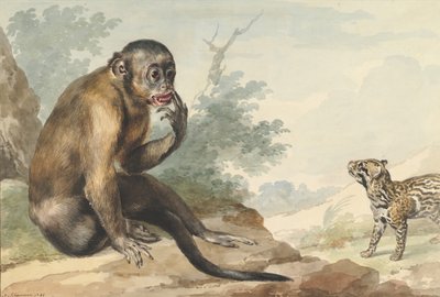 Małpa siedząca na skale patrząca na cywet, 1764. autorstwa Aert Schouman