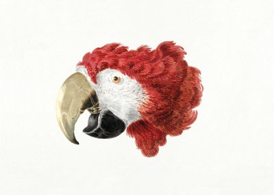 ara autorstwa Aert Schouman