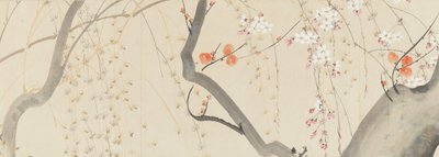 Kwiaty czterech pór roku, 1815. autorstwa after Sakai Hōitsu