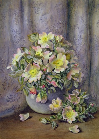 Martwa natura róż autorstwa Agnes Louise Holding