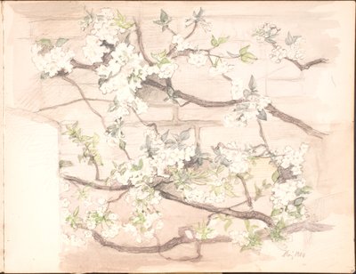 Album. lipiec 1899 - czerwiec 1901 autorstwa Agnes Slott Møller