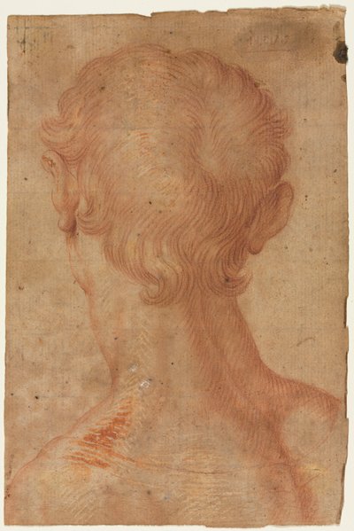  autorstwa Agnolo Bronzino