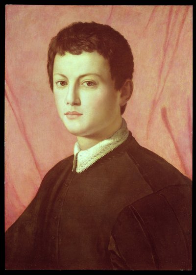 Portret młodego mężczyzny (panel) autorstwa Agnolo Bronzino