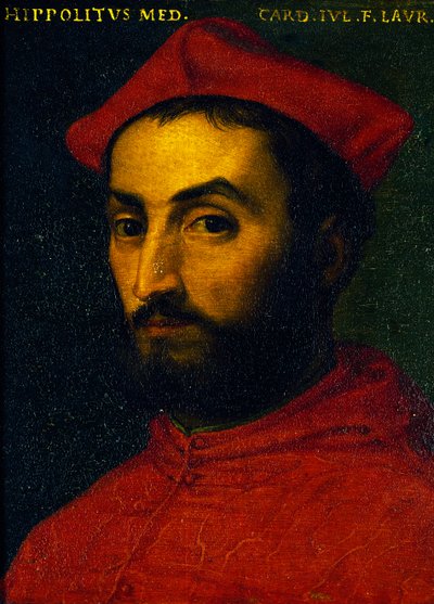 Portret Ippolita de Medici (Urbino .) autorstwa Agnolo Bronzino