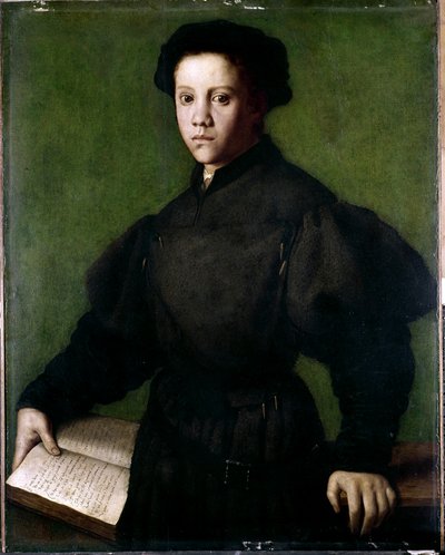 Portret młodego chłopca autorstwa Agnolo di Cosimo Bronzino