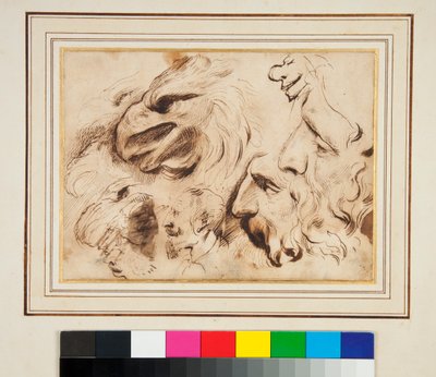 Arkusz studiów z głową orła oraz sylwetki i karykatury mężczyzn (pióro i brązowy tusz oraz trochę brązowego lakieru) autorstwa Agostino Carracci