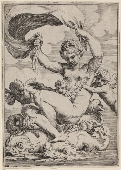 Wenus lub Galatea wspierane przez delfiny autorstwa Agostino Carracci