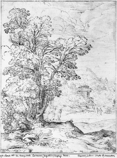 Zalesiony krajobraz (pióro i tusz na papierze) (zdjęcie bw) autorstwa Agostino Carracci
