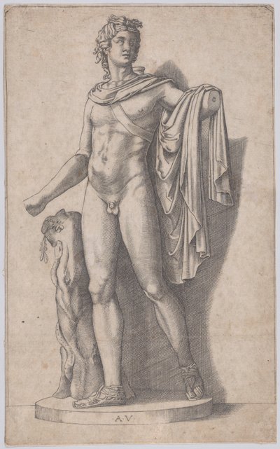 Apollo, ca. 1514-36. autorstwa Agostino Veneziano