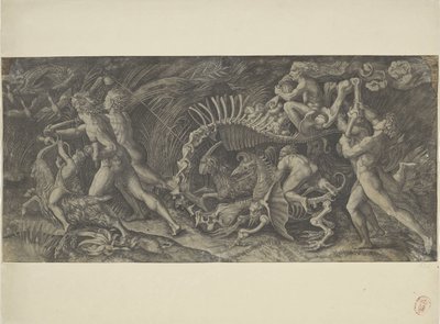 Het karkas Stregozzo autorstwa Agostino Veneziano