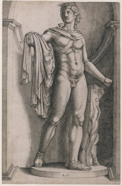 Lustro rzymskiej świetności: Apollo Belvedere, ca. 1514-36, ca. 1514-36. autorstwa Agostino Veneziano
