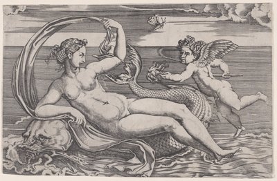 Wenus leżąca na delfinie, ca. 1516. autorstwa Agostino Veneziano