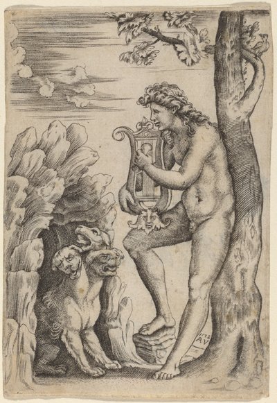 Orfeusz autorstwa Agostino dei Musi
