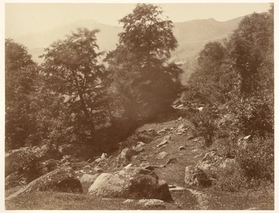 La Vallée du Lys (Coup de Vent) autorstwa Aimé Civiale