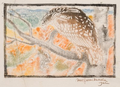 Kokko, ilustracja do „Wielkiej Kalewali” autorstwa Akseli Gallen-Kallela