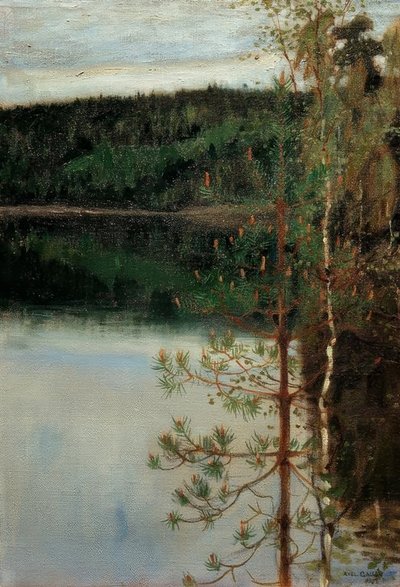 Widok na jezioro autorstwa Akseli Valdemar Gallen Kallela