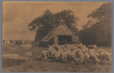 Krajobraz z owcami, krowami, rolnikiem i owczarnią, Holandia Alba Owczarni. Kapteyn, Haga (tytuł na obiekcie) autorstwa Alb. Kapteijn
