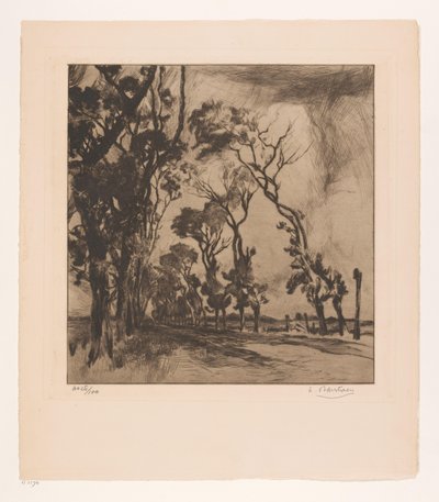 Krajobraz z aleją w kierunku Ostendy autorstwa Albert Baertsoen (signed by artist)
