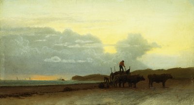 Widok na wybrzeże, Newport, 1861 autorstwa Albert Bierstadt