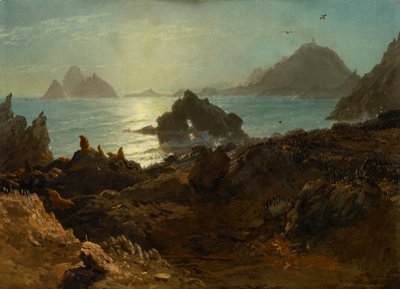 Wyspy Farallon, Ocean Spokojny, Kalifornia autorstwa Albert Bierstadt