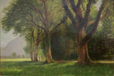 W dolinie Yosemite autorstwa Albert Bierstadt
