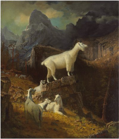 Kozy Gór Skalistych, ok.1885 (olej na płótnie) autorstwa Albert Bierstadt