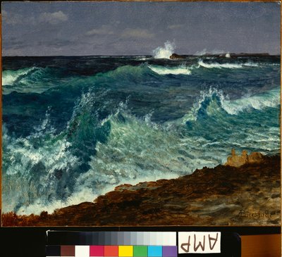 Pejzaż morski autorstwa Albert Bierstadt