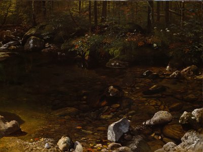 Zacieniony basen, Białe Góry, New Hampshire, ok. 1930 r. 1869. autorstwa Albert Bierstadt
