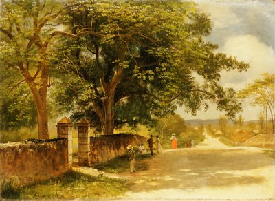 Ulica w Nassau, ok.1878 autorstwa Albert Bierstadt