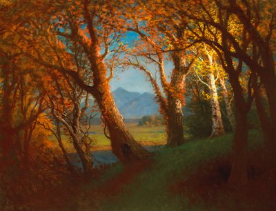 Zachód słońca na terytorium Nebraski autorstwa Albert Bierstadt