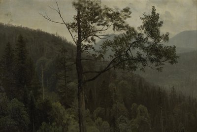 Góry pokryte drzewami autorstwa Albert Bierstadt