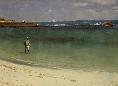 Scena z wybrzeża Indii Zachodnich, ok. 1880-93 (olej na papierze zamontowany na płycie pilśniowej) autorstwa Albert Bierstadt