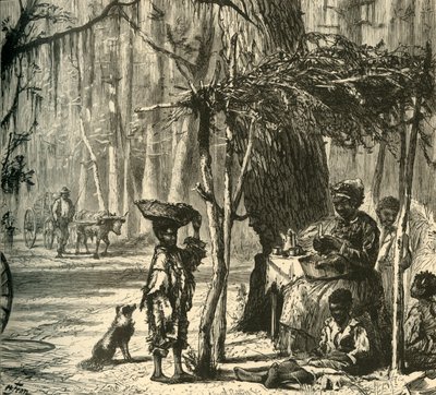 „Scena przydrożna w pobliżu Charleston”, 1872. autorstwa Albert Bobbett