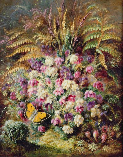 Wrzos dzwonka, 1877 r. autorstwa Albert Durer Lucas