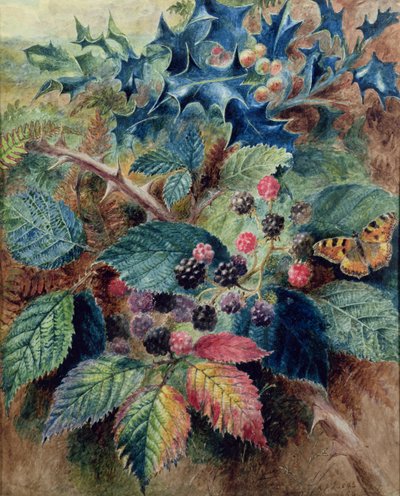 Jeżyny i ostrokrzew z motylem autorstwa Albert Durer Lucas