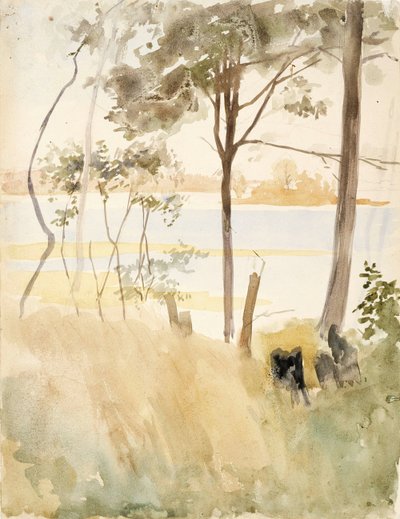  autorstwa Albert Edelfelt