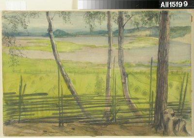 Letni pejzaż autorstwa Albert Edelfelt