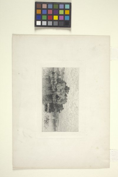 Krajobraz z jeziorem (tusz) autorstwa Albert Fitch Bellows