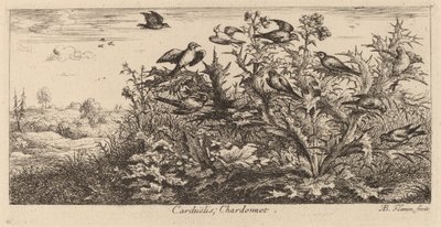 Carduelis, Szczygieł autorstwa Albert Flamen