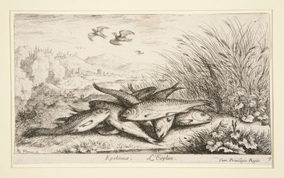 Epelanus, L autorstwa Albert Flamen
