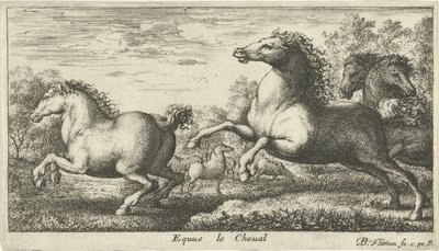 Konie Equus le Cheval (tytuł na obiekcie) Różne gatunki zwierząt (tytuł serii) autorstwa Albert Flamen