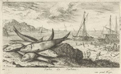 Sardynki na plaży? Sarda, La Sardynka. (tytuł na obiekcie) Ryby i inne morskie stworzenia - pierwsza seria słonowodnych (tytuł serii) Diverse Especes de Poissons de mer (tytuł serii) autorstwa Albert Flamen