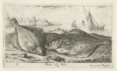 Dwie płastugi na plaży? psetta. La Plye. (tytuł na obiekcie) Ryby i inne morskie stworzenia - druga seria słonowodnych (tytuł serii) Poissons de mer (tytuł serii) autorstwa Albert Flamen