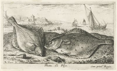 Dwie płastugi na plaży? psetta. La Plye. (tytuł na obiekcie) Ryby i inne morskie stworzenia - druga seria słonowodnych (tytuł serii) Poissons de mer (tytuł serii) autorstwa Albert Flamen