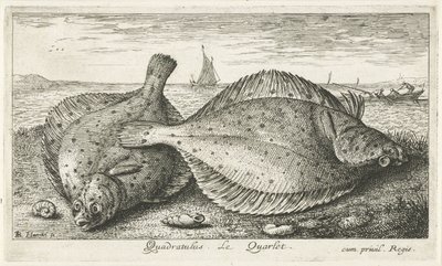 Dwie gładzice na plaży? Kwadratus. LeQuarlet. (tytuł na obiekcie) Ryby i inne morskie stworzenia - trzecia seria słonowodnych (tytuł serii) Poissons de mer (tytuł serii) autorstwa Albert Flamen