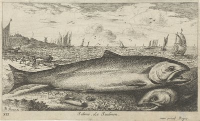 Dwa łososie na plaży? Salmo. Le Saumon (tytuł na obiekcie) Ryby i inne morskie stworzenia - pierwsza seria słonowodnych (tytuł serii) Diverse Especes de Poissons de mer (tytuł serii) autorstwa Albert Flamen