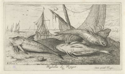 Cztery czerwone barweny na plaży Rubellio Le Rouget. (tytuł na obiekcie) Ryby i inne morskie stworzenia - druga seria słonowodnych (tytuł serii) Poissons de mer (tytuł serii) autorstwa Albert Flamen
