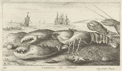 Homar na plaży? Cammarusa. LeHomard (tytuł na obiekcie) Ryby i inne morskie stworzenia - pierwsza seria słonowodnych (tytuł serii) Diverse Especes de Poissons de mer (tytuł serii) autorstwa Albert Flamen