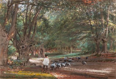 Burnham Beeches (akwarela i akwarela) autorstwa Albert Goodwin