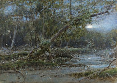 Świetliki, Demerera, ok. 1902 (w/c i kolor nadwozia na papierze) autorstwa Albert Goodwin